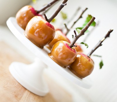 caramel-apple-stick-twigs