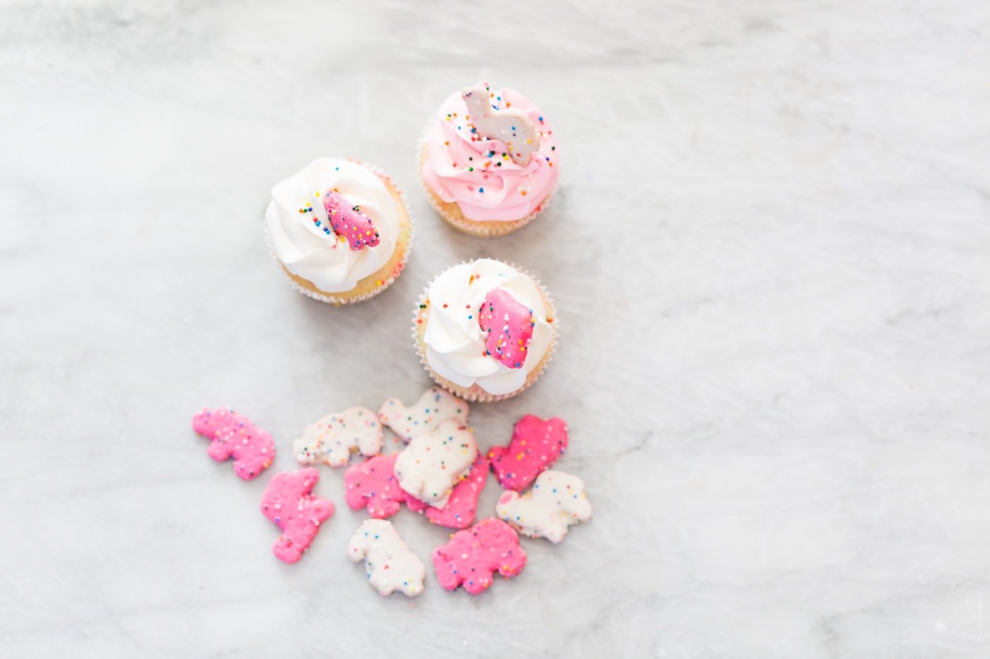 FROSTED-ANIMAL-CUPCAKES