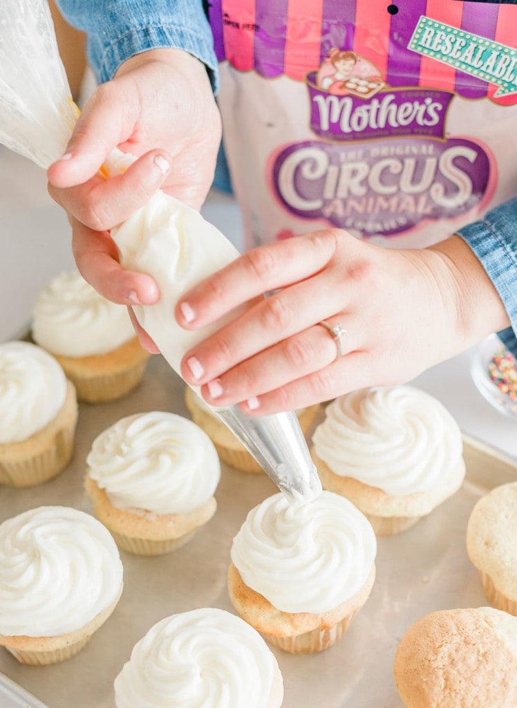 Person decorating cupcakes with white buttercream frosting recipe frosting using a piping bag.
