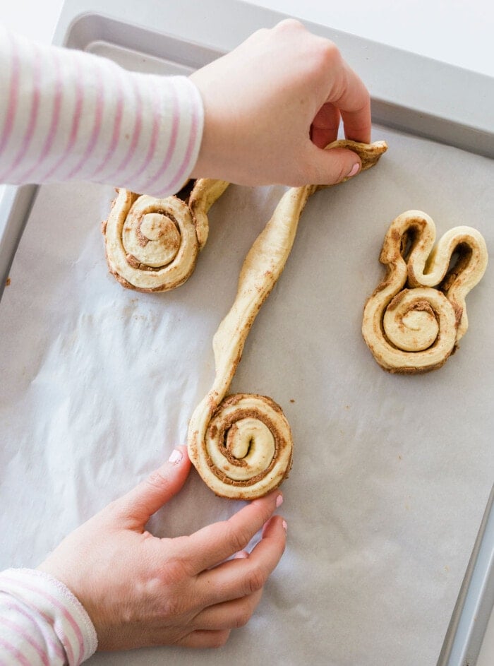 Hands are shaping cinnamon rolls into bunny shapes on a baking sheet lined with parchment paper. The rolls have spiral centers and are being manipulated to form ear shapes.
