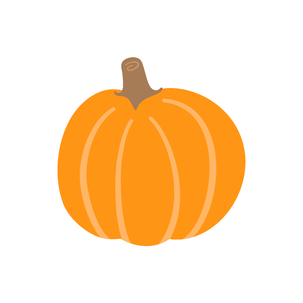 Illustration of a simple orange pumpkin with a brown stem on a matching orange background, featuring smooth, stylized lines.