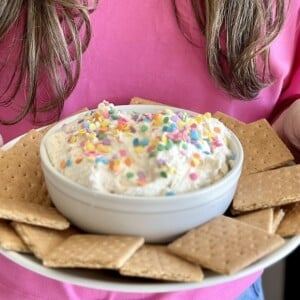 A person in a pink shirt holds a plate with a bowl of creamy funfetti dip topped with colorful sprinkles, surrounded by square graham crackers.