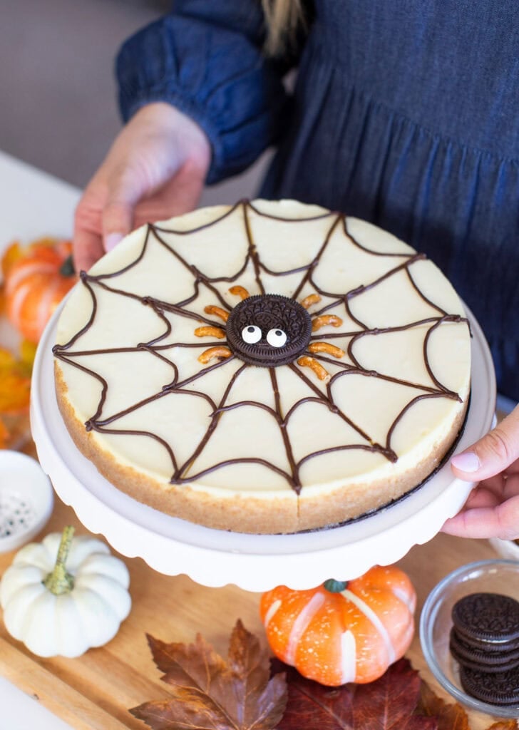 Person holding a cheesecake decorated with a chocolate spider web and a cookie spider in the center. The cake is on a white plate. Nearby are decorative pumpkins and autumn leaves on a wooden board.