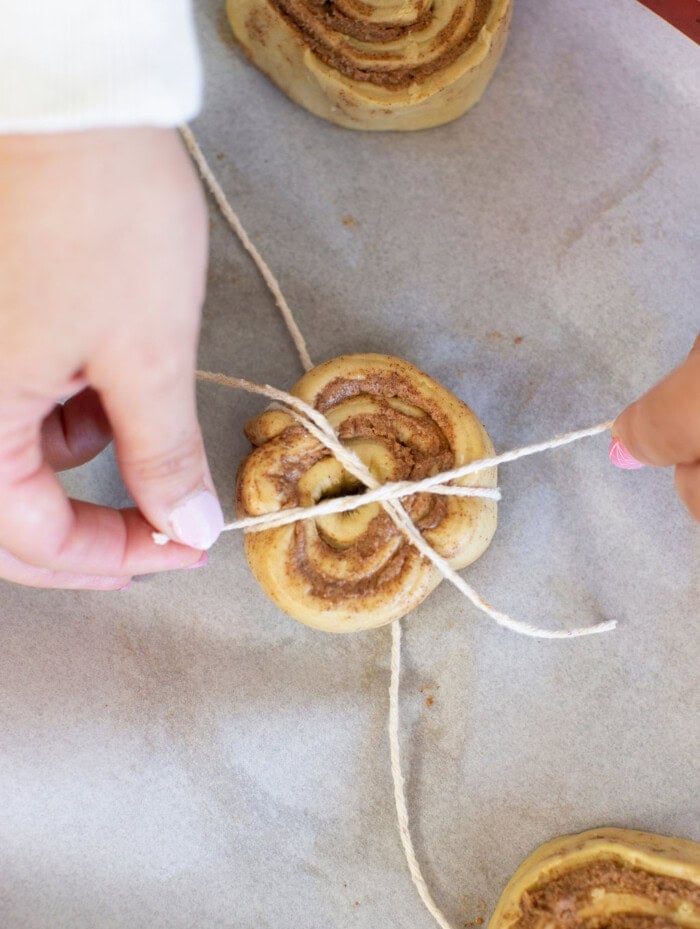 Pumpkin cinnamon rolls being shaped with kitchen twine to create the pumpkin shape.