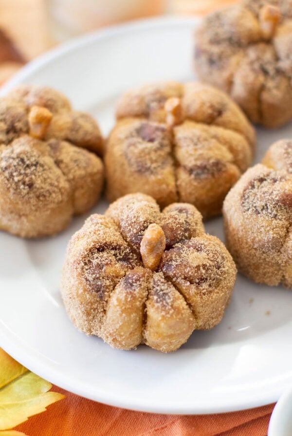 Pumpkin cinnamon rolls on a plate.