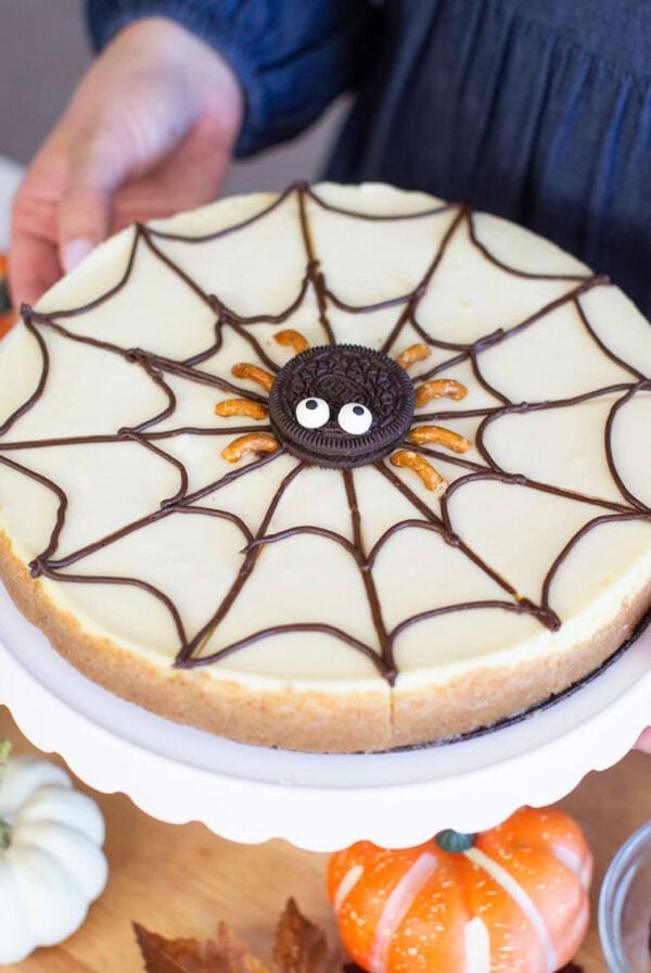 A person holds a cheesecake decorated with a chocolate spider web design. An Oreo cookie with candy eyes forms a spider at the center. Small pumpkins and autumn leaves are visible in the background.