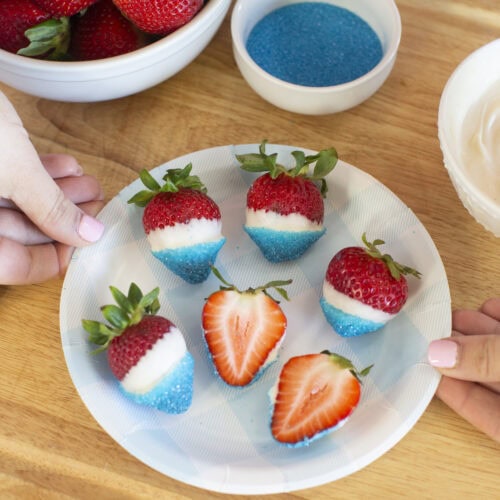  STRAWBERRY BLUE プレート 5枚セット 4th-of-July-red-white-and-blue